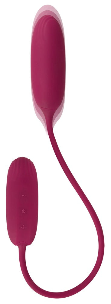Sweet Smile RC Shaking & Vibrating Love Egg Duo
