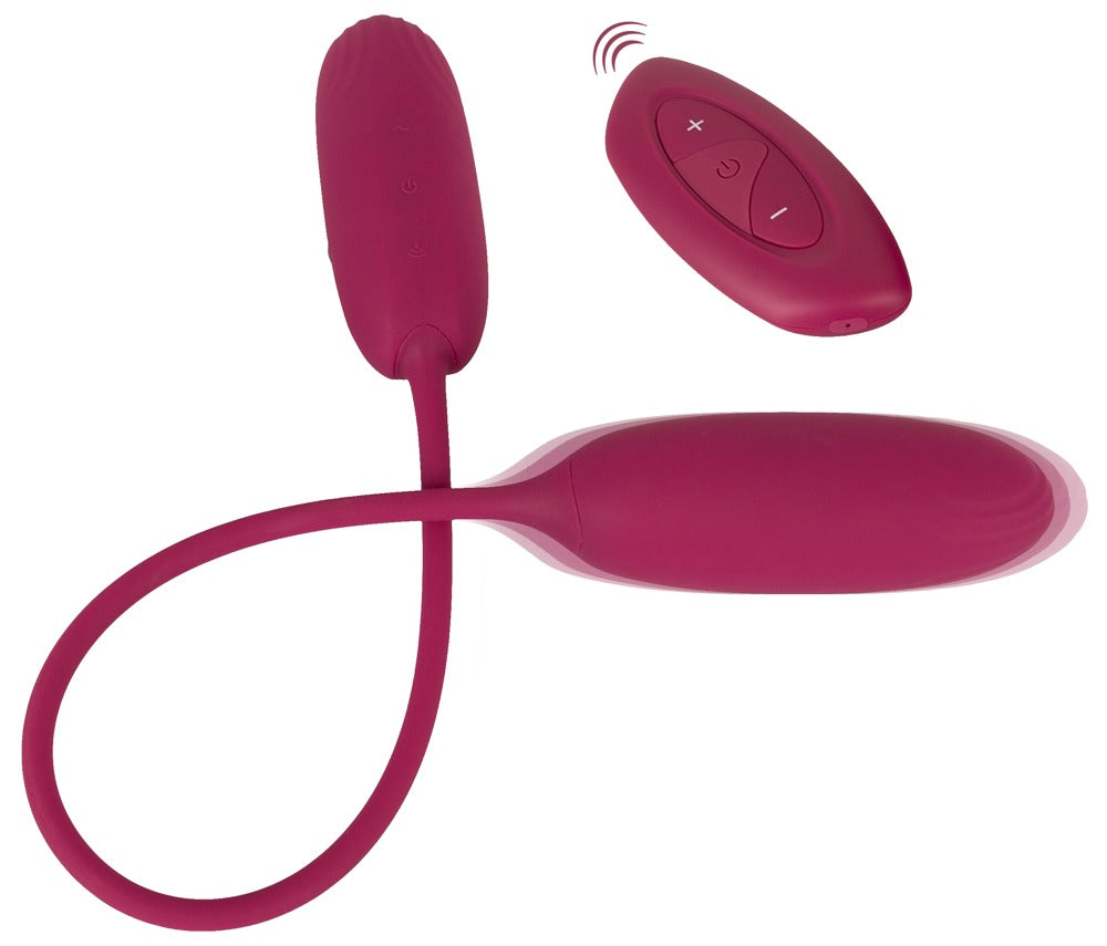Sweet Smile RC Shaking & Vibrating Love Egg Duo
