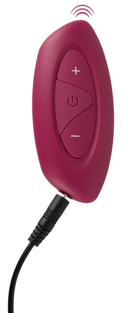 Sweet Smile RC Shaking & Vibrating Love Egg Duo