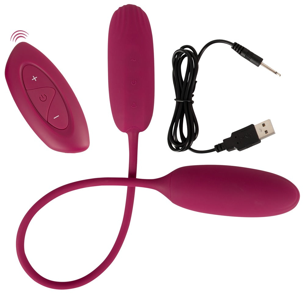 Sweet Smile RC Shaking & Vibrating Love Egg Duo